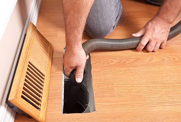Best Air Duct Mold Removal  in Eagle Butte, SD